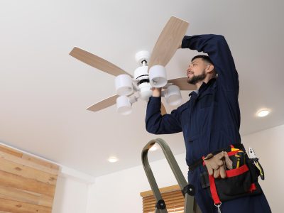 Domestic Electrician